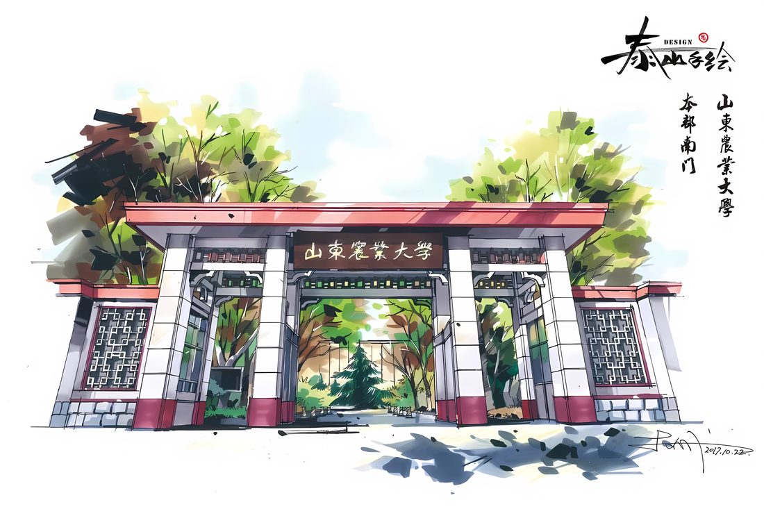 山东农业大学手绘校门